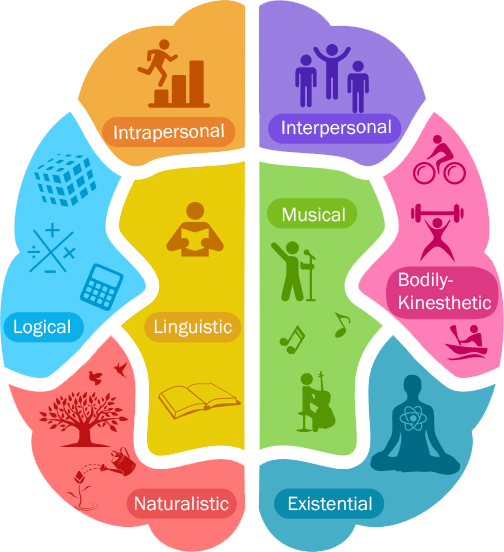 Les 8 formes d'intelligence, toutes aussi importantes les unes que les autres : kinestique, linguistique, naturaliste, logico-mathématiques, intra personnelle, inter personnelle, musicale, existentielle